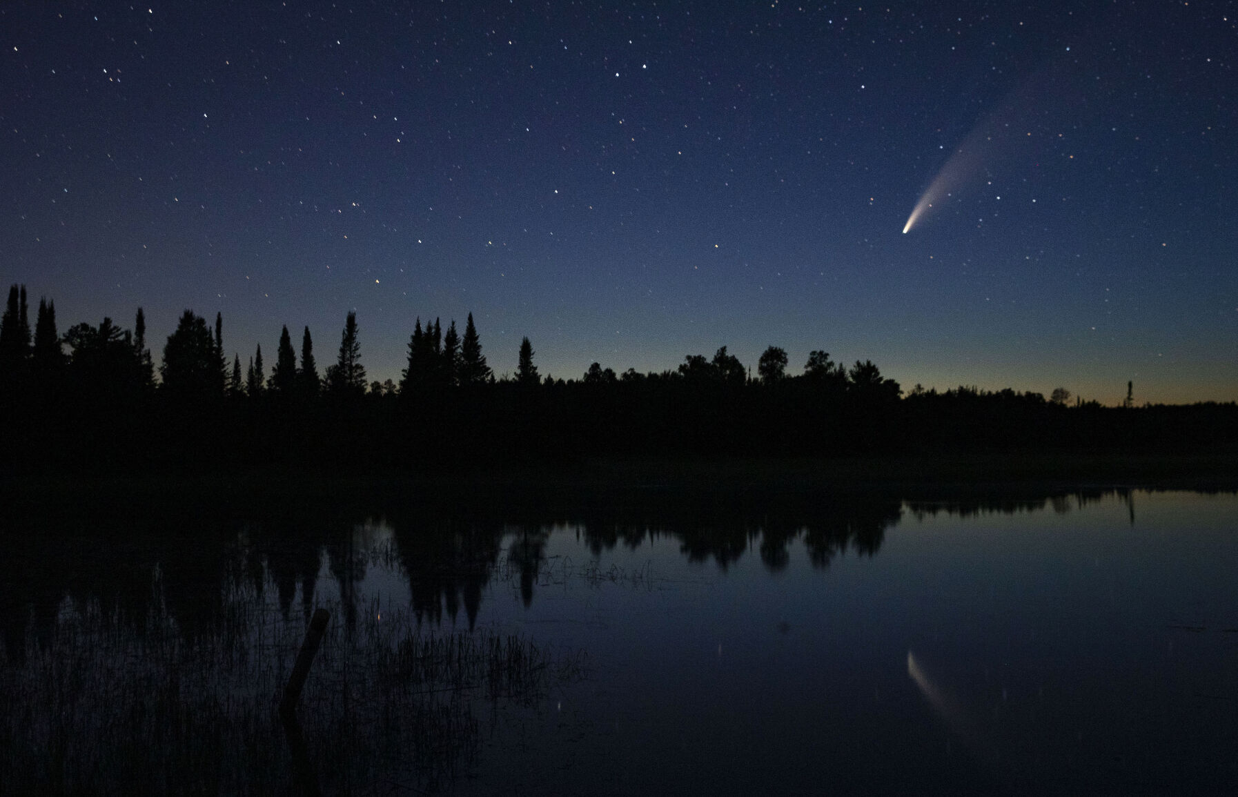 Minnesota Comet Neowise